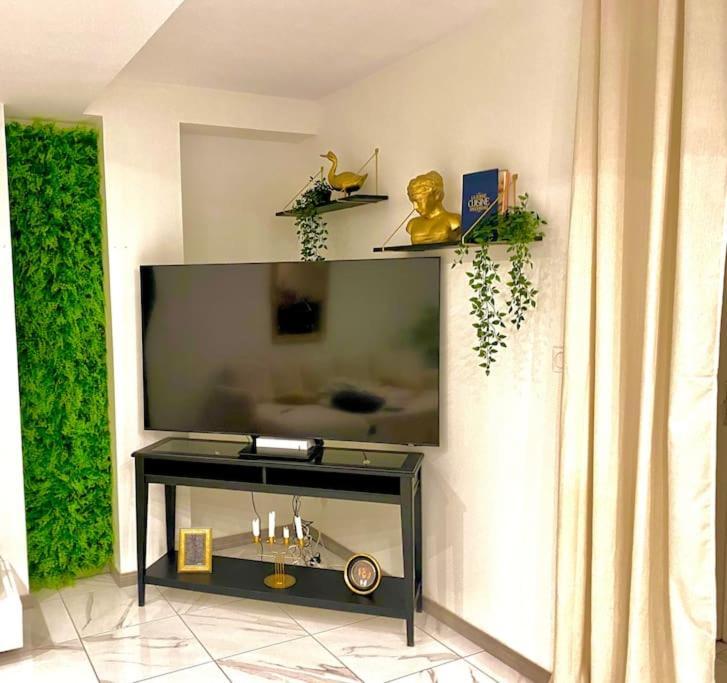 Toulouse Vaste Appartement Tres Lumineux Exterior foto